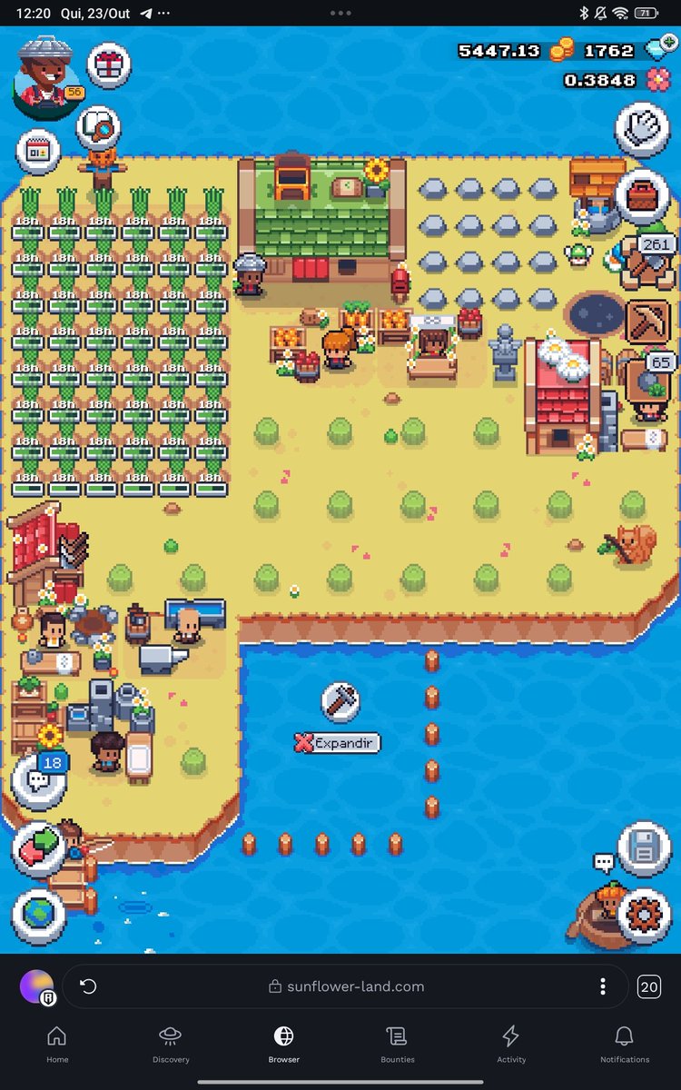 #SunflowerLandFarm