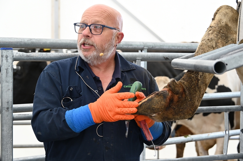 Thank you to Tim Carter for demonstrating expert Foot Trimming at UK Dairy Day! Healthy feet = happy, productive cows. 🐄

#UKDairyDay #CattleWelfare #DairyFarming