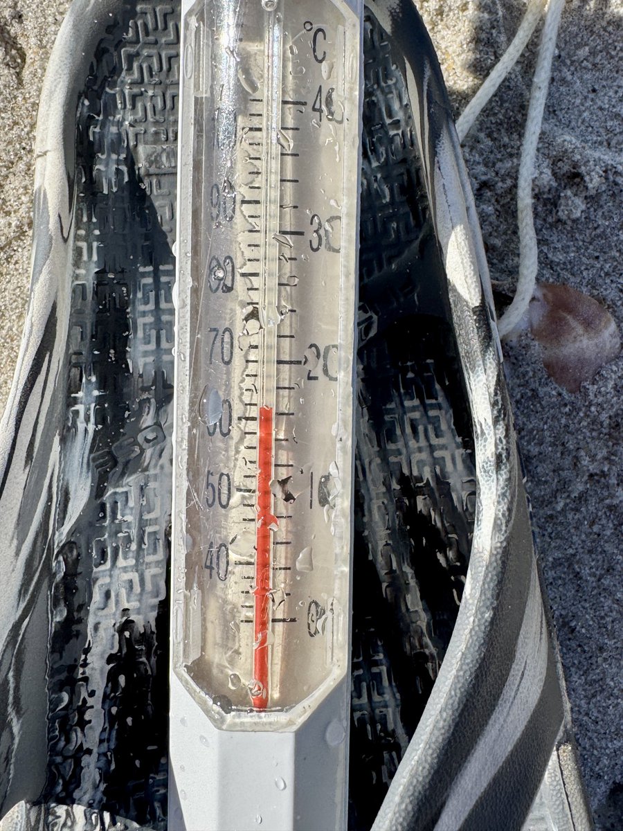 Yesterday’s sunny 65° prompted me to wade into the ocean despite 20mph wind gusts &amp; take water temperature: 62° near shoreline. Stayed til my toes were numb!
<a href="/ericfisher/">Eric Fisher</a> <a href="/evezuckoff/">Eve Zuckoff</a> <a href="/bpdesilets/">The Colors of Chatham</a> <a href="/xplorenantucket/">Blair Perkins</a> <a href="/capecodtimes/">Cape Cod Times</a> <a href="/1DegreeOutside/">1DegreeOutside</a> <a href="/Eweather13/">eweather</a> <a href="/charlesorloff/">Charles Orloff</a>