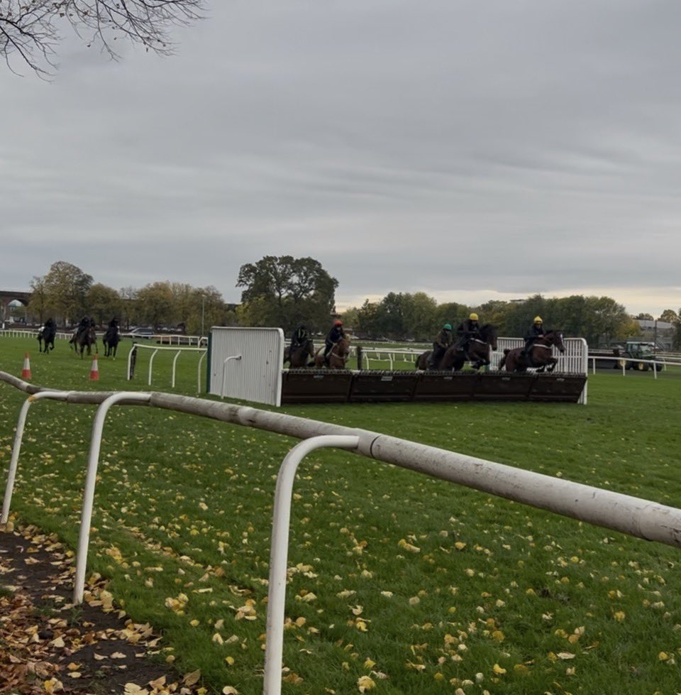 NickBrownRacing's tweet photo. National Hunt racing could do with a lot more mornings like this!! A schooling morning in @WorcesterRaces was a massive benefit to horses and trainers. Well organised and a huge success. Thanks to everyone who worked to get it on. It was very useful for 2 of our team! https://t.co/O6xiJIWe5y