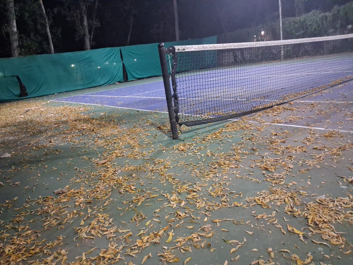VedantScripts's tweet image. It's that time of the week!
#tennis