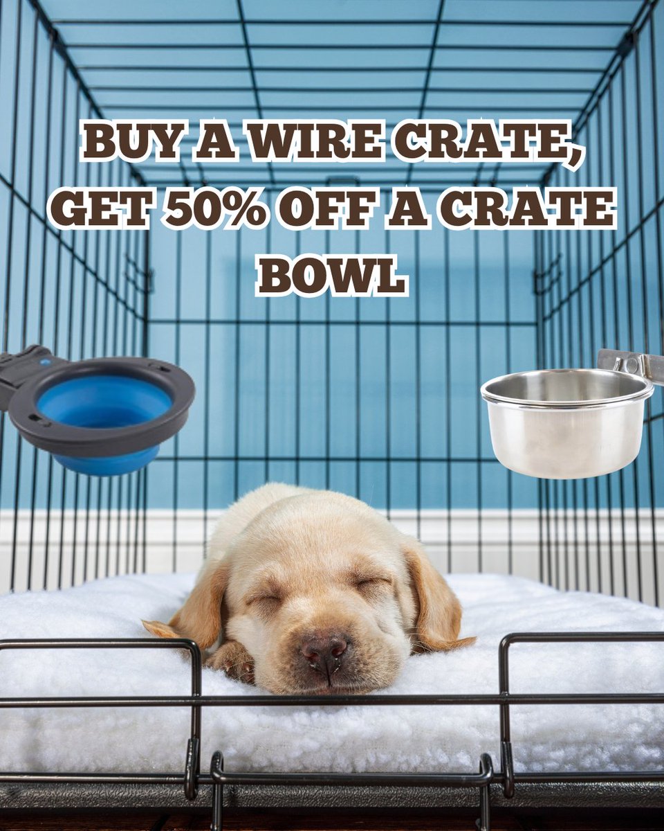 HWFeed's tweet image. New puppy alert! 🚨 Make crate training a breeze. Buy a wire crate, get 50% off a crate bowl. Time to kit out your new family member's space! Shop the essentials: bit.ly/47qymE5

#NewPuppy #DogSale #HollywoodFeed