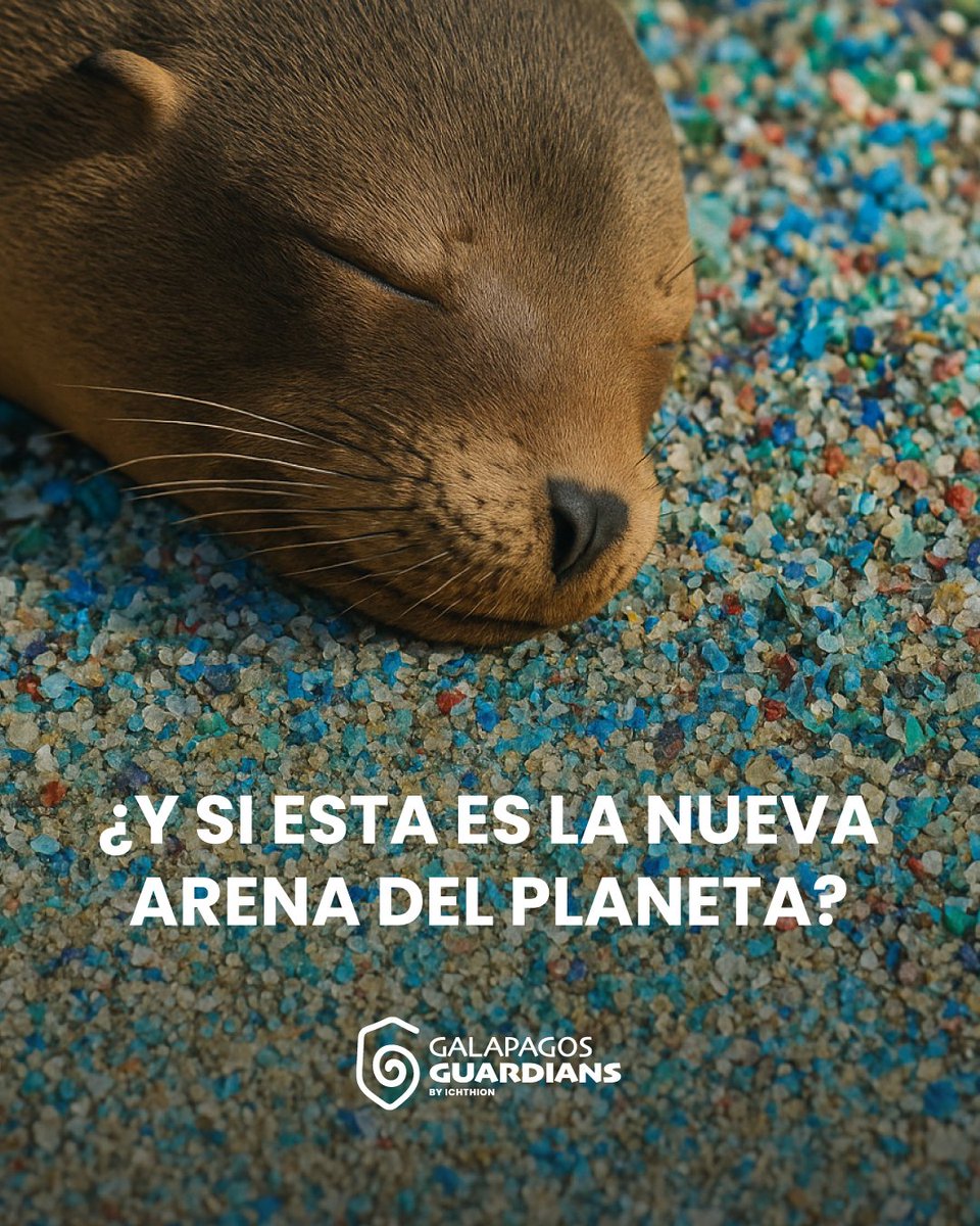 ichthion's tweet image. 🌎El plástico no desaparece: se fragmenta. Cada botella, empaque o residuo que no se gestiona bien termina en el ambiente y se convierte en microplásticos.

En Galápagos Guardians trabajamos para detener este ciclo junto a recicladores, comunidades y con nuestra tecnología Azure.