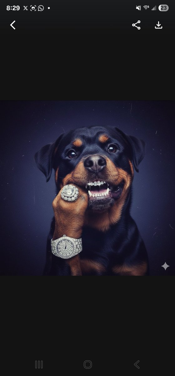 <a href="/_Shadow36/">Shadow</a> 🥶🥶🥶