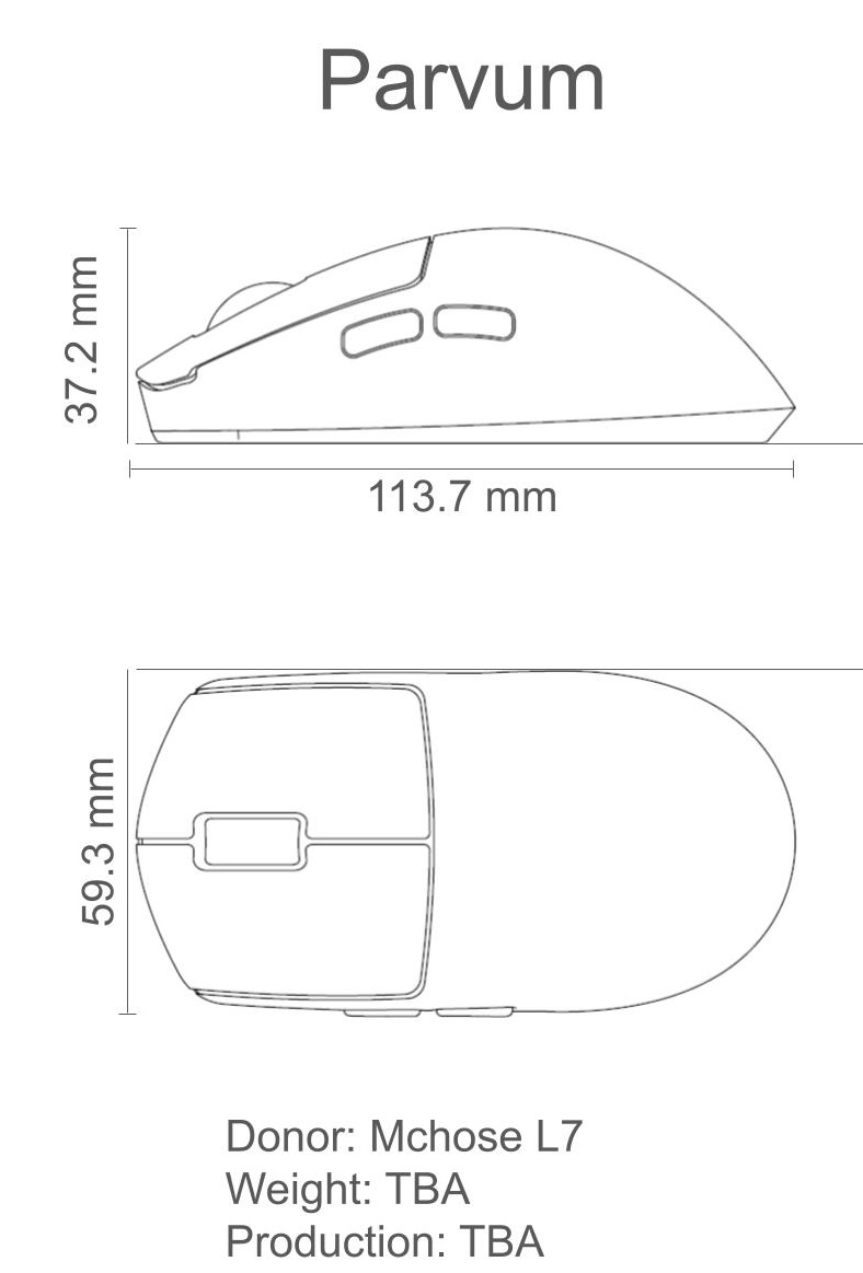 Project W tweet media