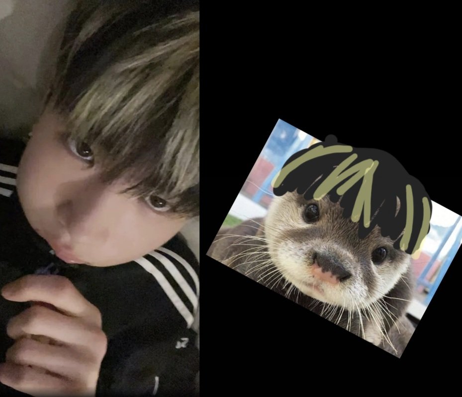 수퍼수달 염예찬 🦦