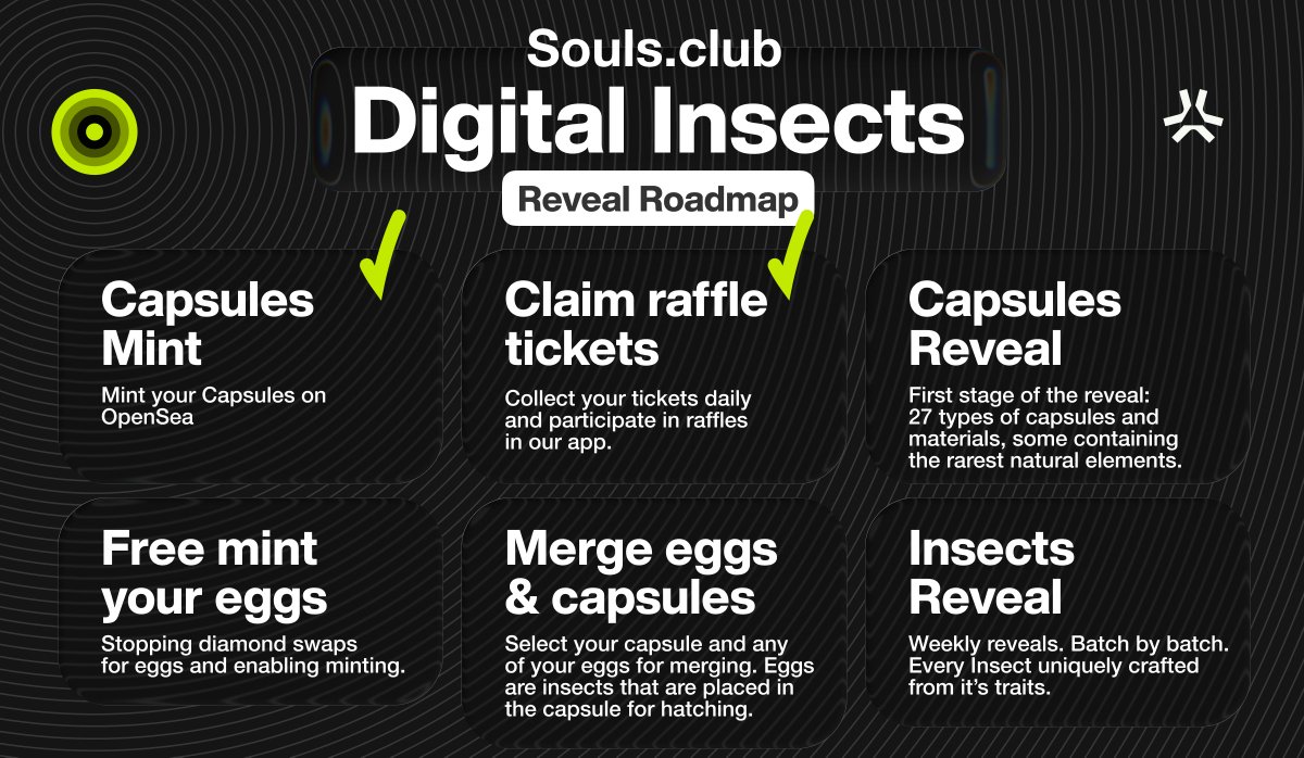 The Digital Insects reveal journey begins.

From Capsules → Eggs → Merges → Insects.