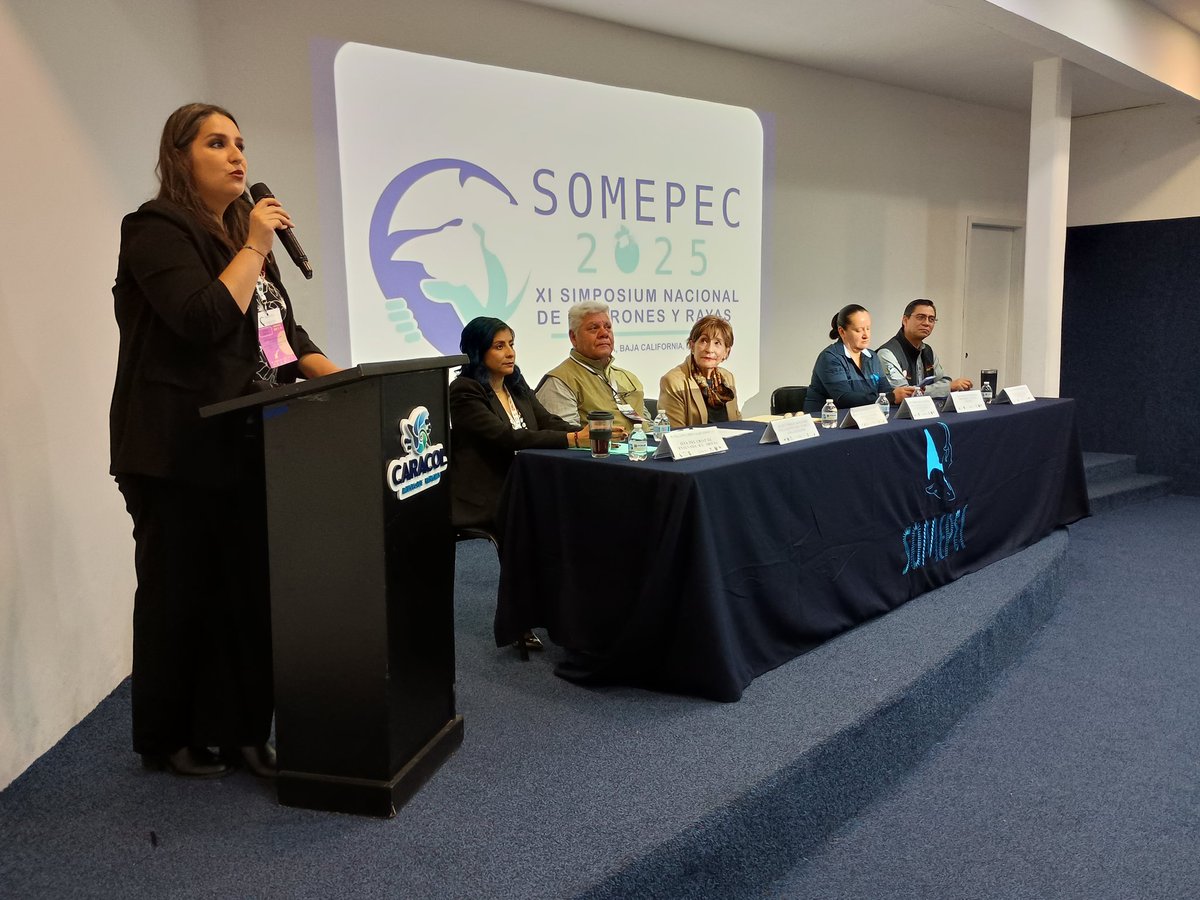 DURANTE EL XI SIMPOSIO NACIONAL DE TIBURONES Y RAYAS

Investigadores coincidieron en destacar que los tiburones enfrentan desafíos del cambio climático, contaminación y pesca ilegal.

Aquí más información 👇
bajacalifornia.gob.mx/Prensa/Noticia…