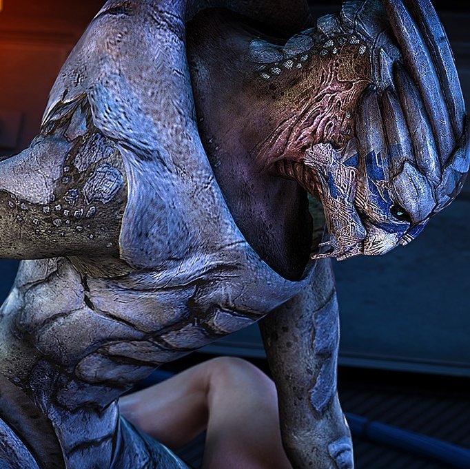 daily garrus 🪽 tweet media