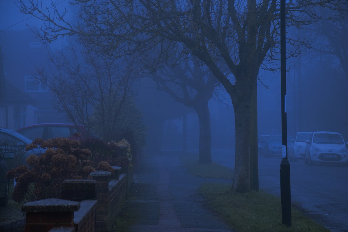 emilybakerphoto.eth tweet media