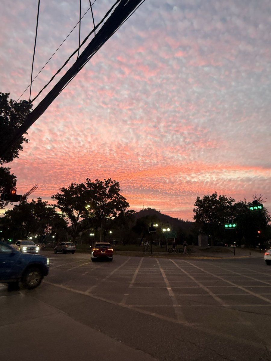 lessda's tweet image. Mi momento preferido del día! #opacarofilia