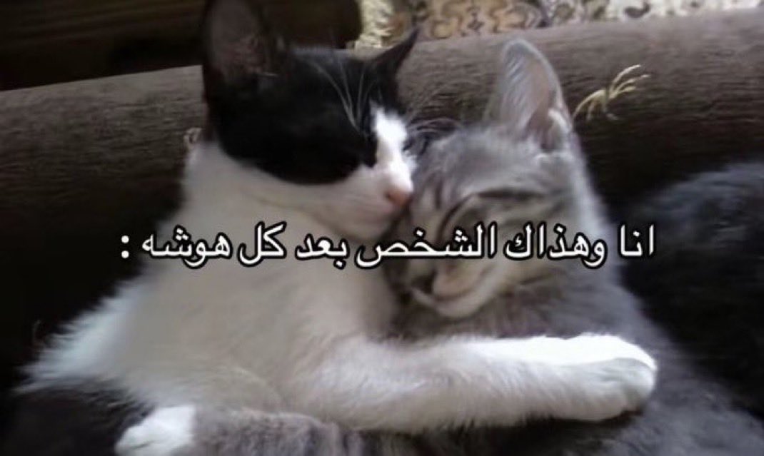 سَمح (@saa0m_) on Twitter photo 