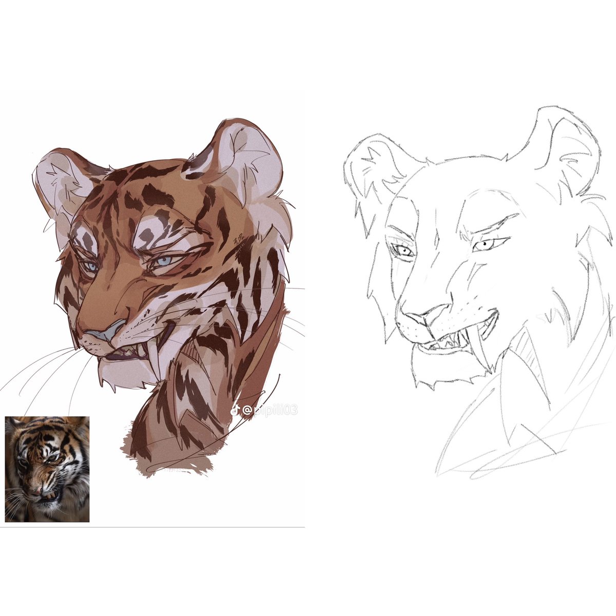C0nwad's tweet image. Cleaner lineart for coloring in the future