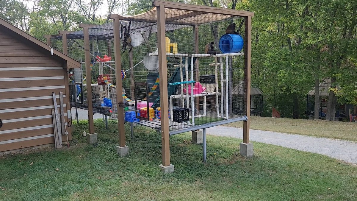 PRC September sanctuary scenes
youtu.be/PT5MUxpfmPo