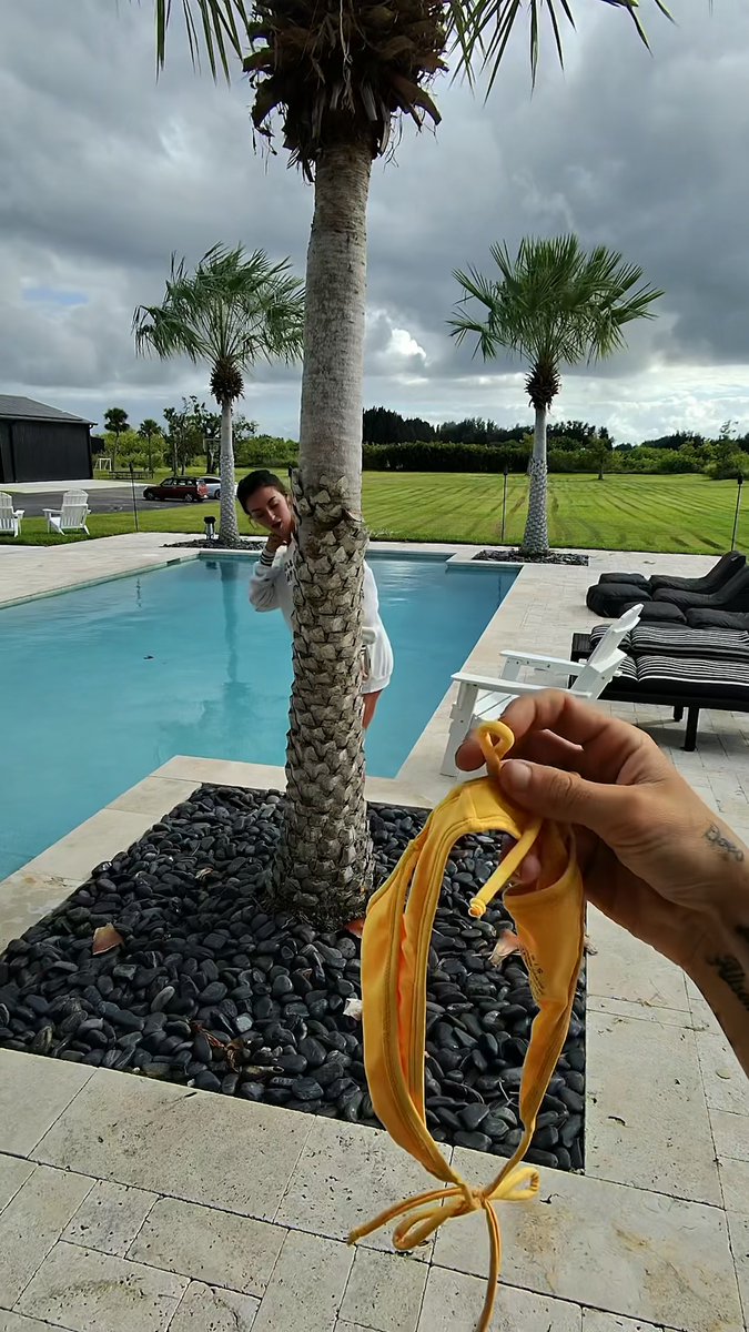 One tree is all I need 😅