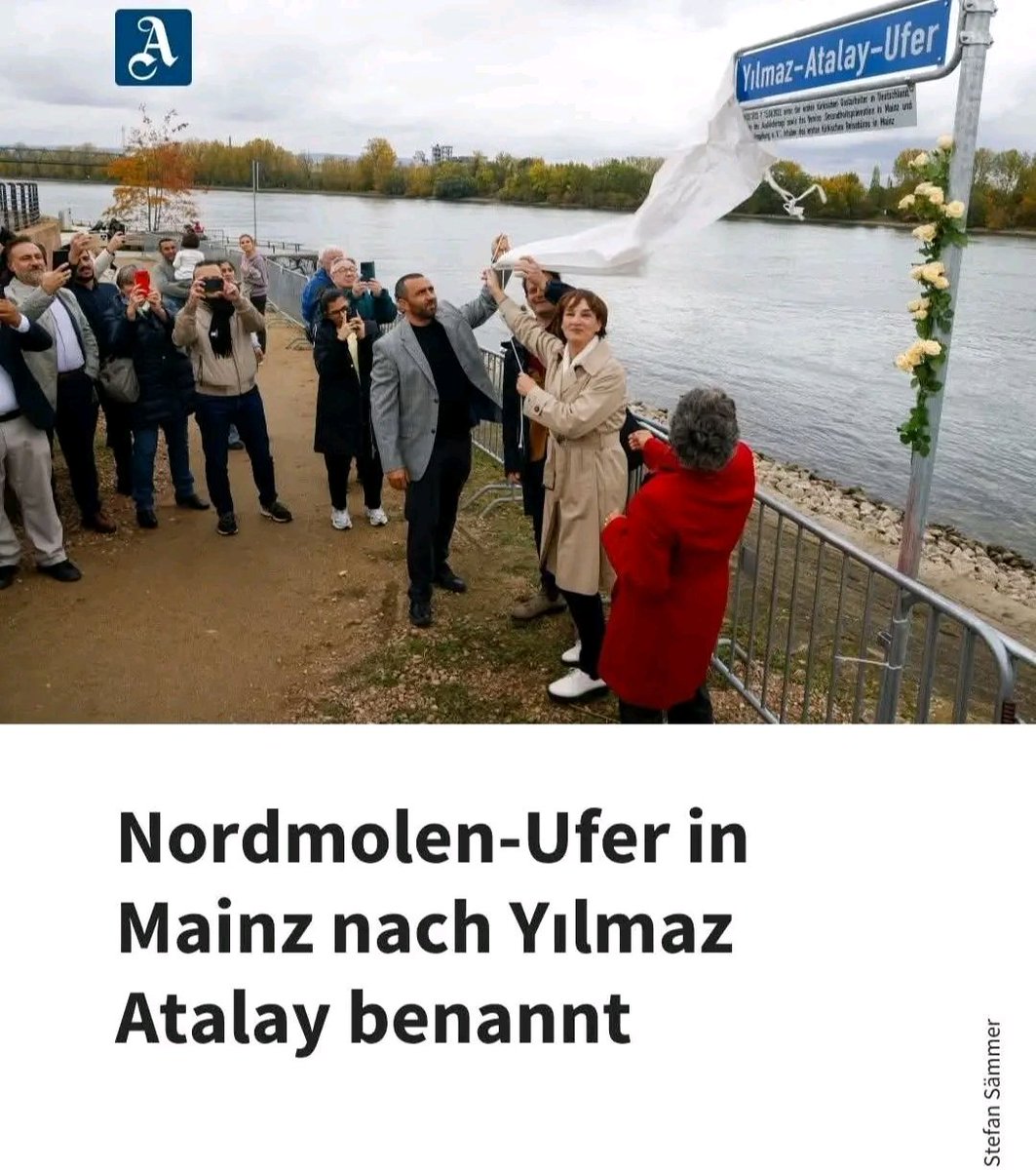 Daniel Vollmer🇩🇪💙 tweet media