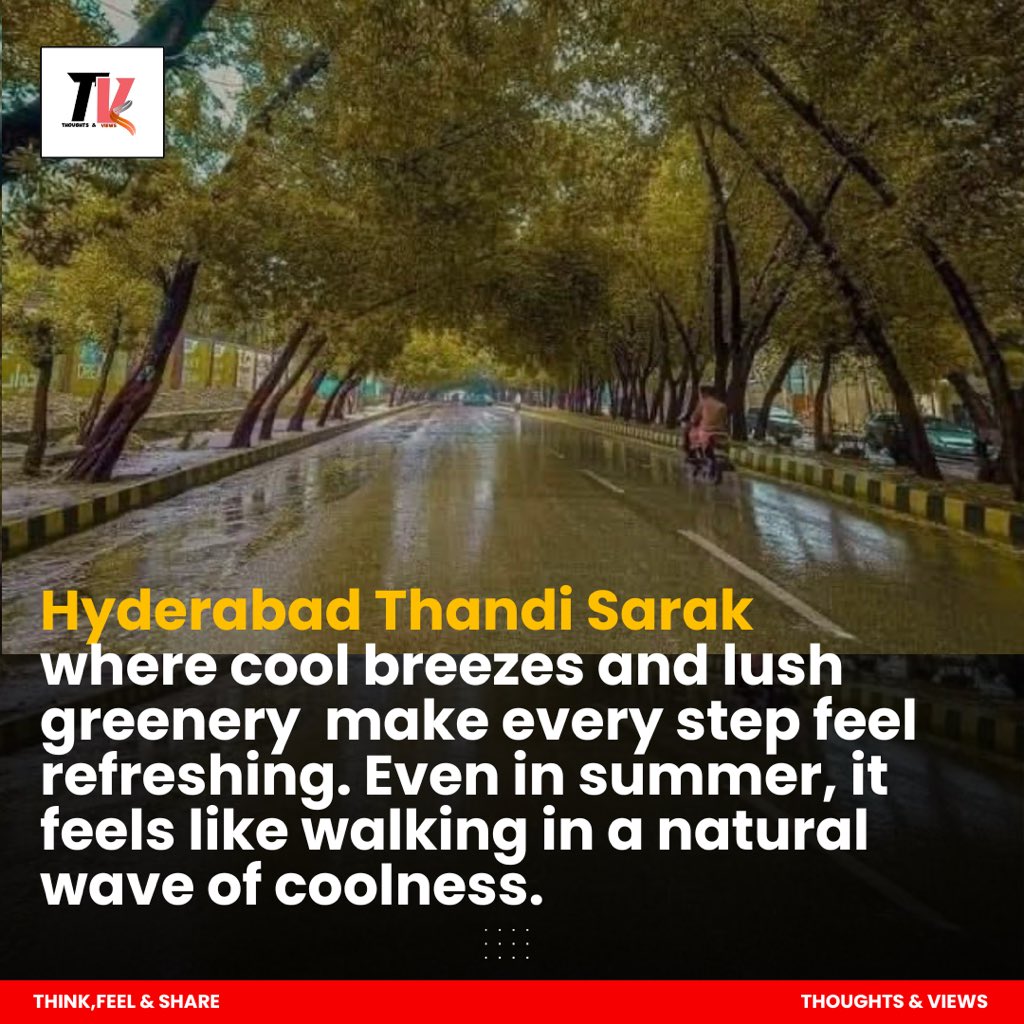 thoughtsviews06's tweet image. A road of cool breezes and lush greenery your perfect summer escape! 

#ThandiSarak #Hyderabad #CoolVibes #SummerEscape #NatureLovers #FreshAir #PeacefulVibes #Greenery