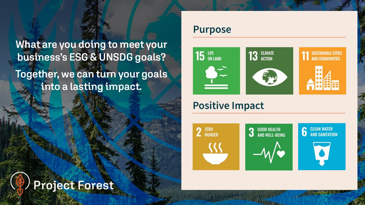 ProjectForest_'s tweet image. For 8 decades, the UN has championed peace, human rights &amp;amp; sustainability — and the #SDGs keep that vision alive.

At Project Forest, we turn ESG goals into real-world impact. 🌱

👉 projectforest.ca/annual-reports

#UnitedNationsDay #ESG #SDGs #ProjectForest