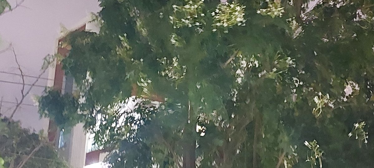 kirangkumar kiran tweet media