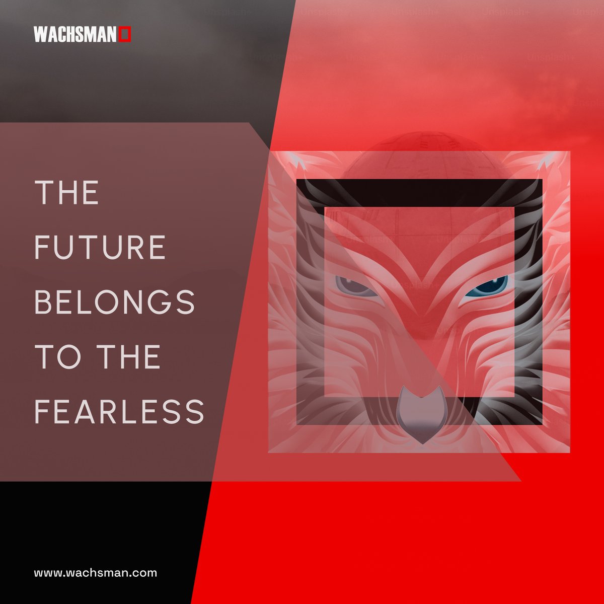 veldesiign's tweet image. A wolf moves through fog, calm, aware, fearless.
That’s how I see Wachsman.
They help brave companies find clarity in uncertainty and tell stories that make the world take notice.
Inspired by “The Future Belongs to the Fearless.”
#Wachsman #DesignStorytelling #VisualDesign