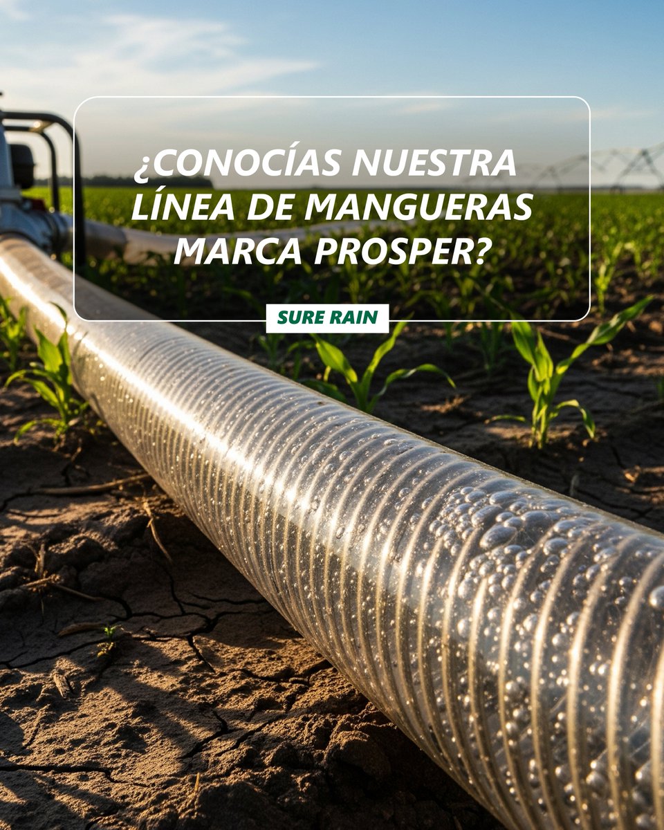 SureRain's tweet image. 💪 Resistencia y rendimiento en cada trabajo.
Presentamos las mangueras Prosper, diseñadas para diferentes aplicaciones:

🔹 Manguera de Succión: ideal para extracción de fluidos bajo presión negativa, flexible y duradera.
🔹 Manguera de Alta Presión para Pulverización
