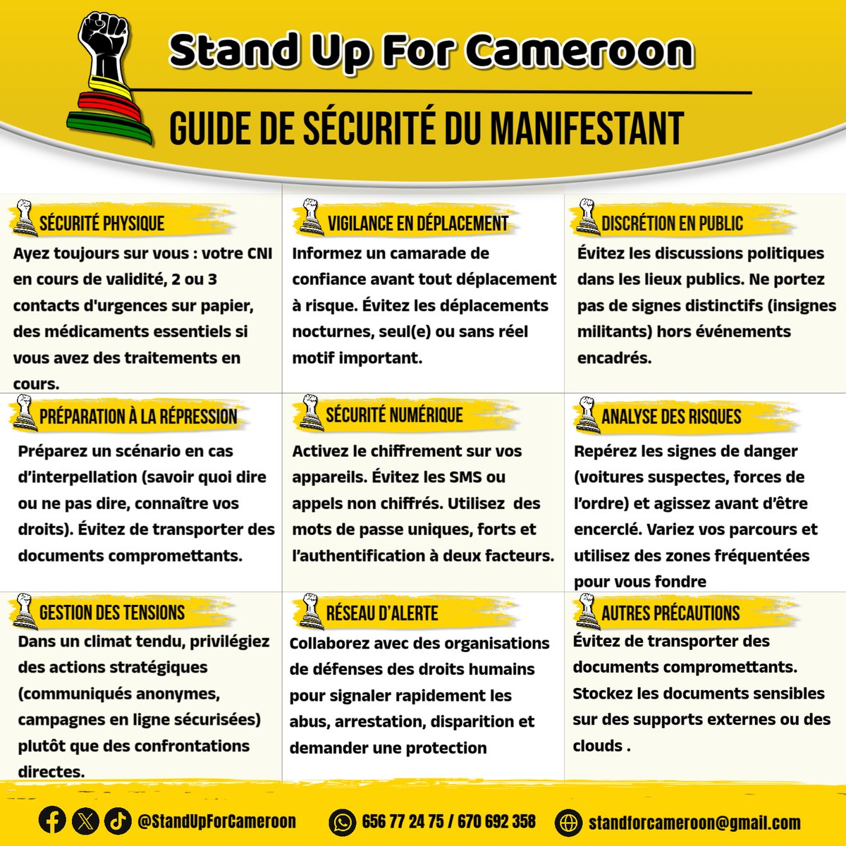 Stand4Cameroon tweet picture