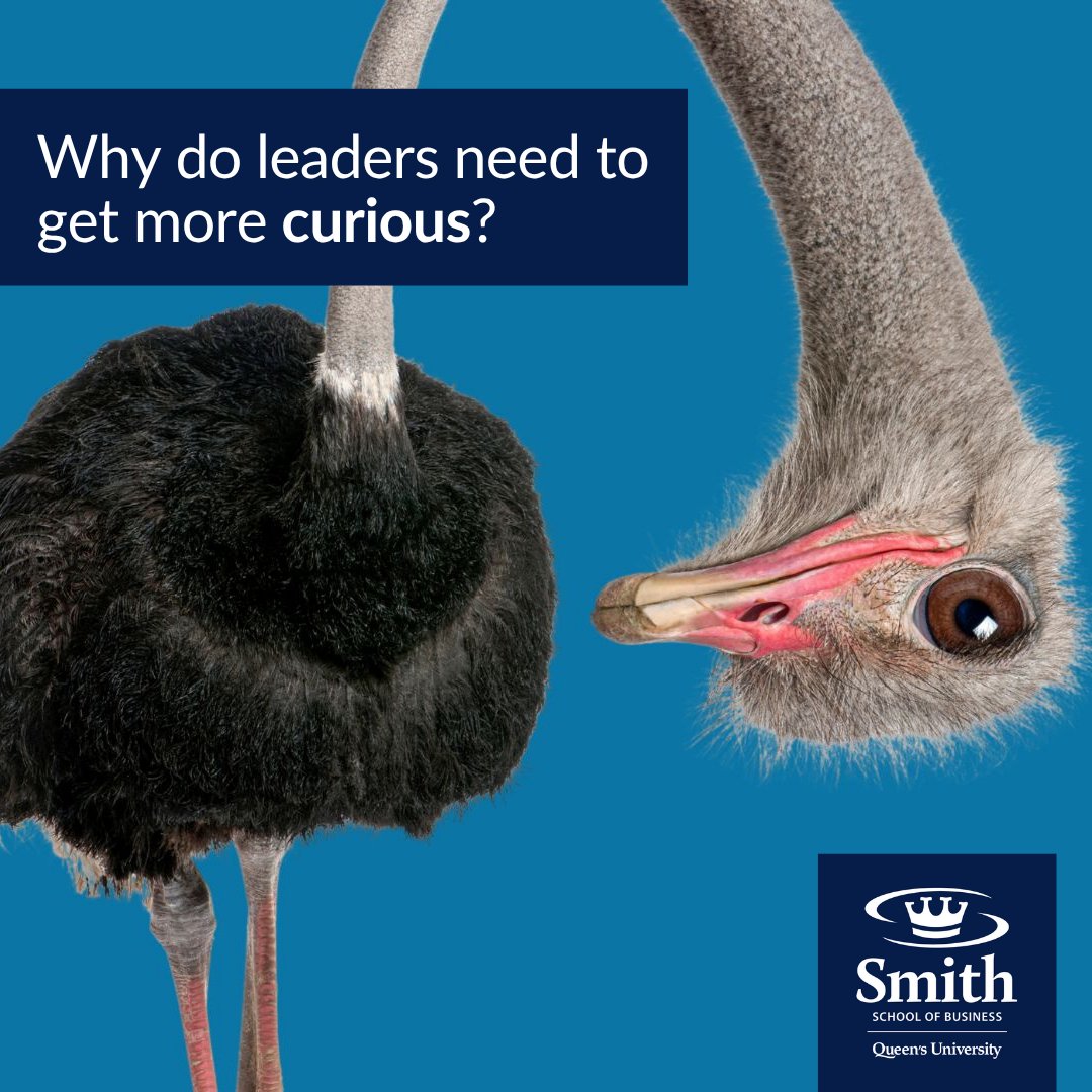 #Curiosity is waning in the modern world, but experts believe it is worth fighting for, especially when inquisitive mindsets can help unlock several increasingly valuable competitive advantages. 

Smith professor Matthias Spitzmuller, and alumni Matei Olaru, BCom’12, and Annie