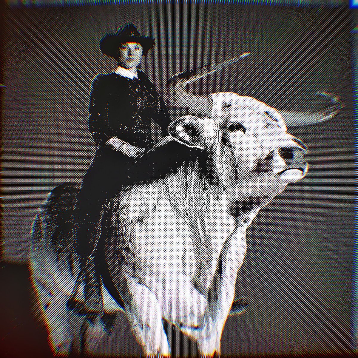 kylewiles.tez (@kylewilesstudio) on Twitter photo Mooove over butter Mooove over butter