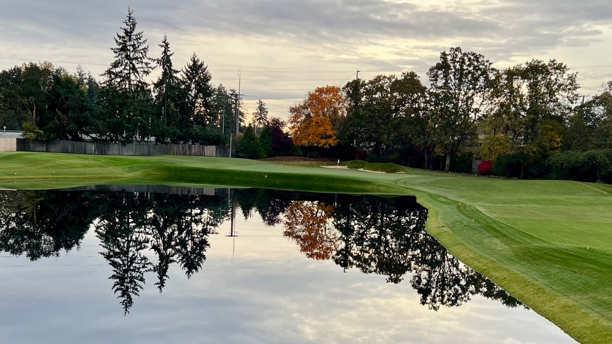 Joel Kachmarek tweet media