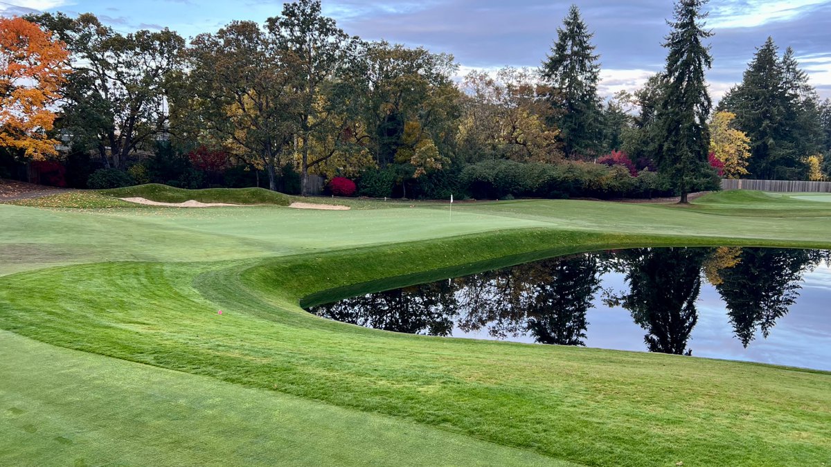 Joel Kachmarek tweet media