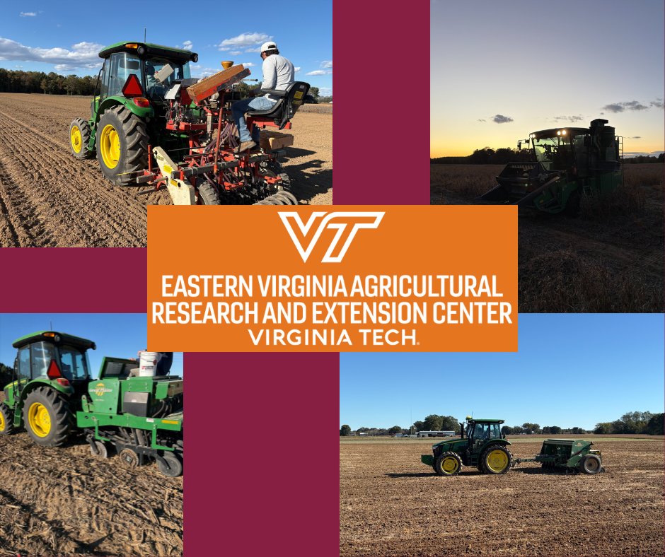 Busy week around the center with wheat planting, soybean harvest, and faba bean planting.