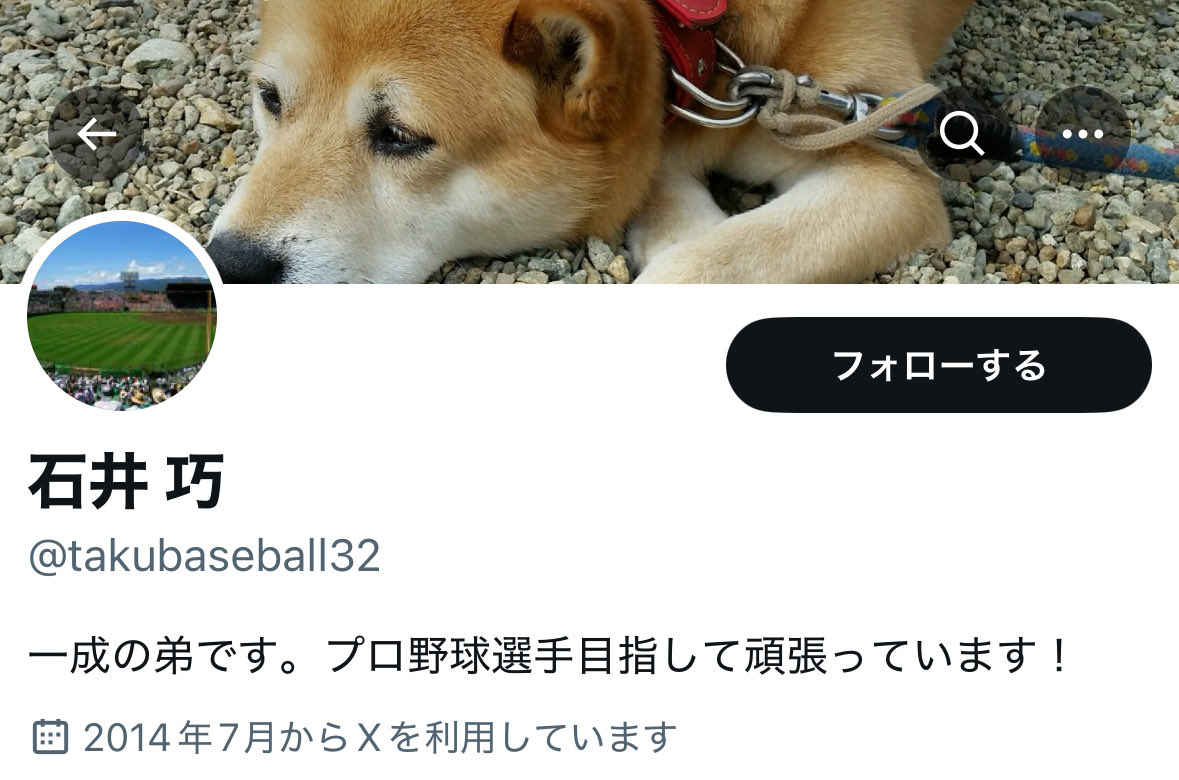 CaoCao_swallows's tweet image. 夢叶えたの熱すぎるだろw