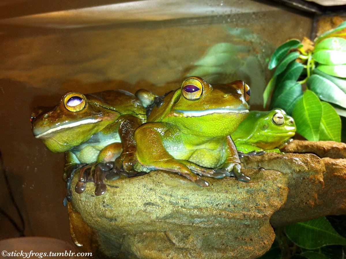 It is Dinner Night and there is a Gathering at the front of the ledge!