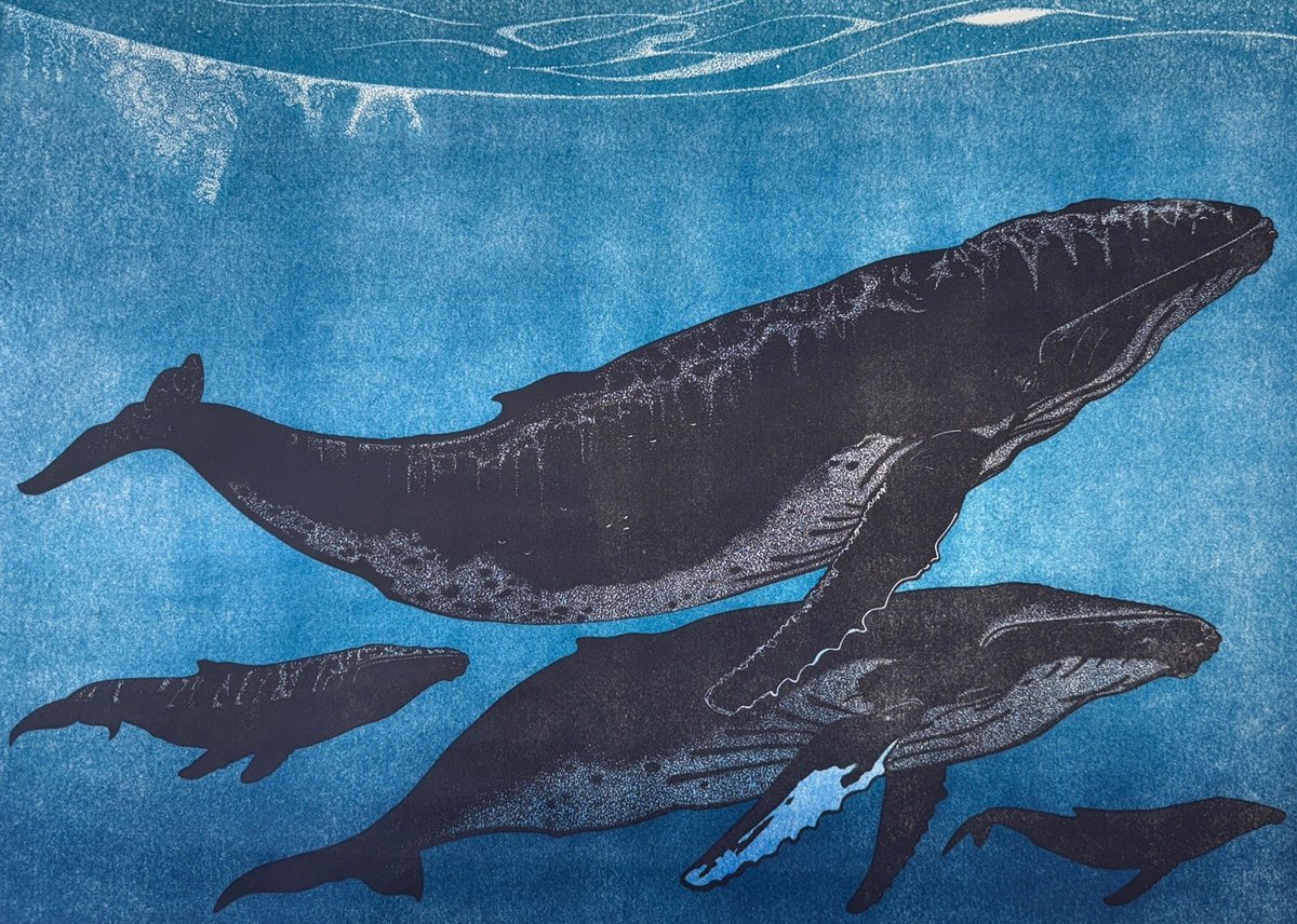 Frames Gallery tweet media