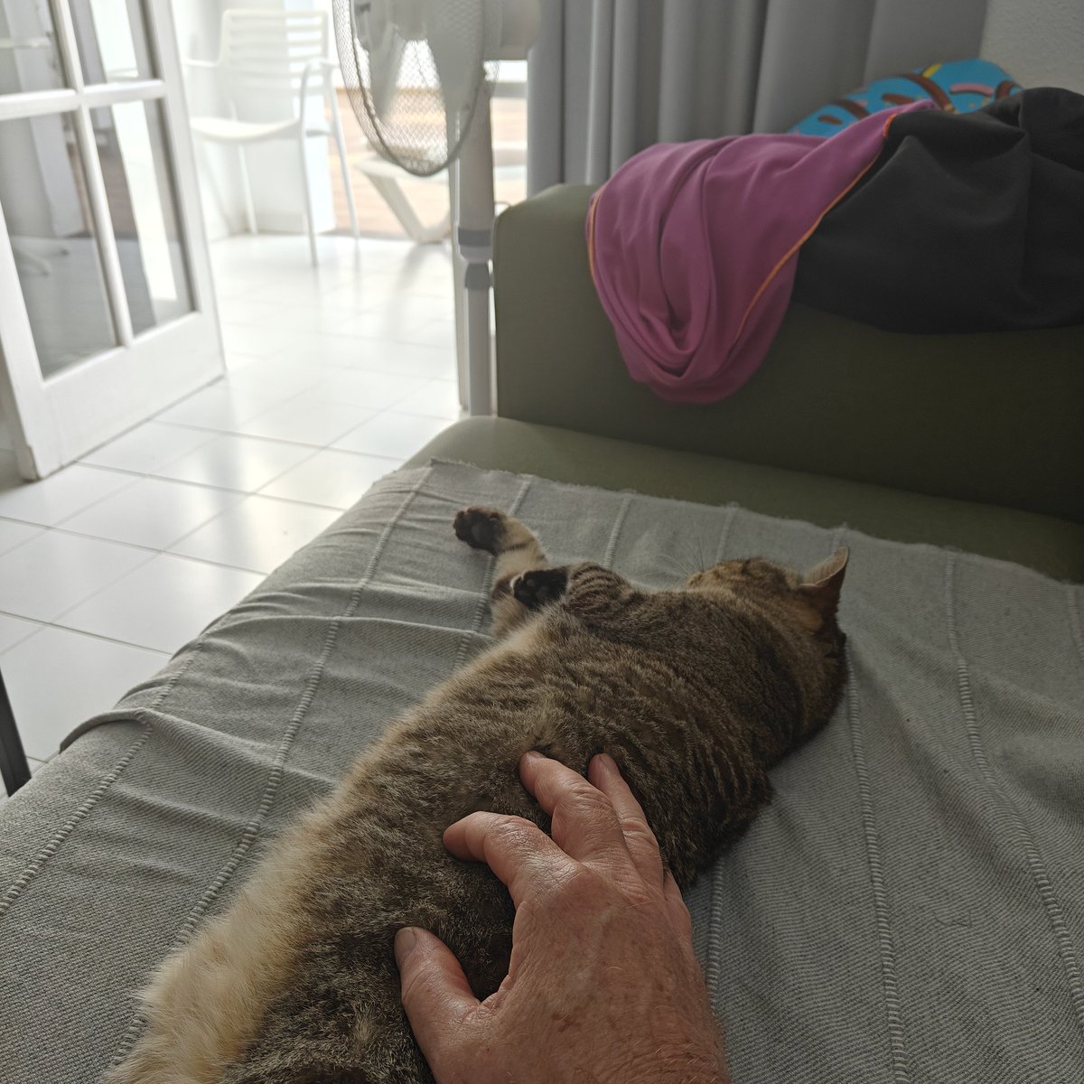 Spanish pussy, putty in my fingers