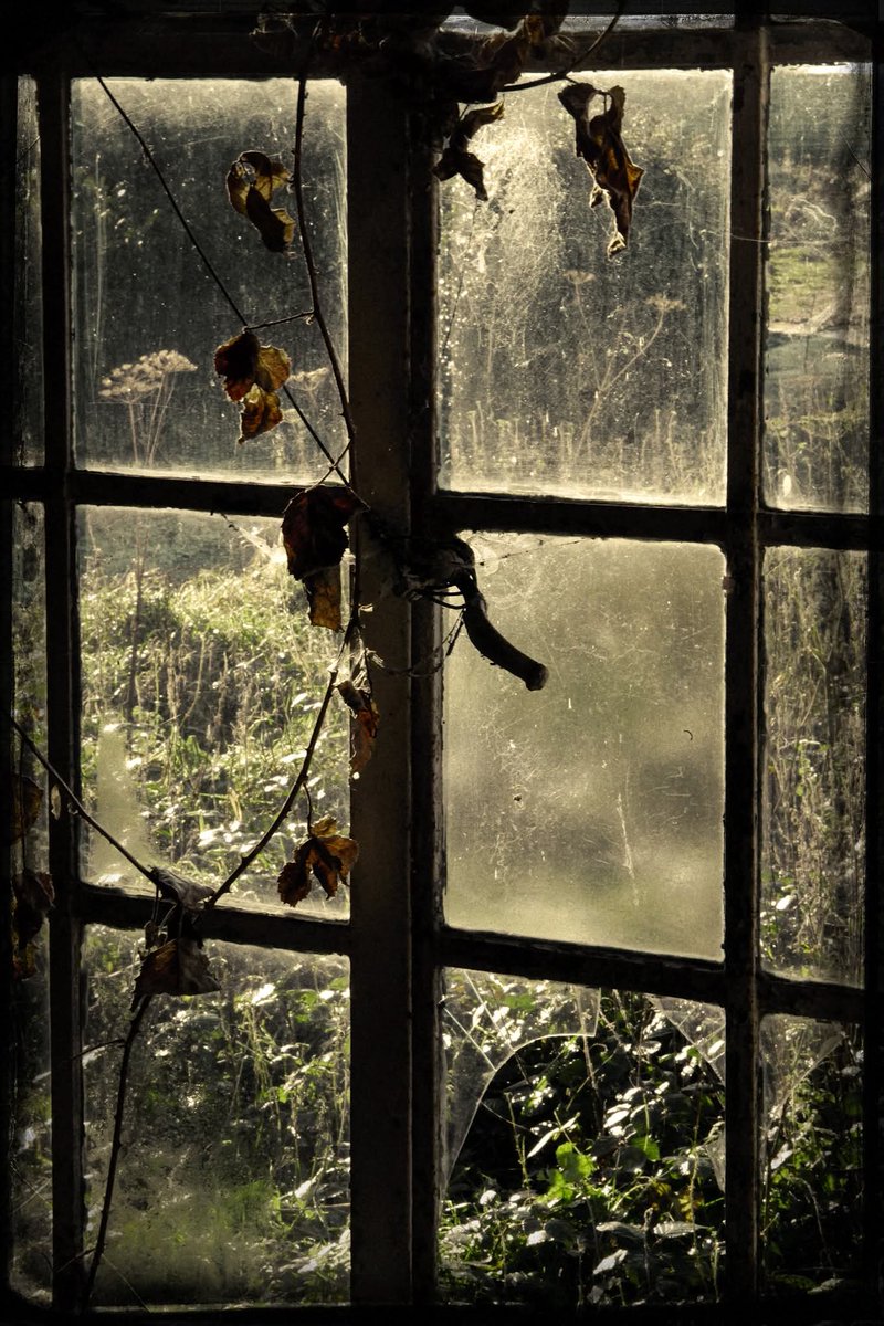 🇨🇦 PL's Pieces Of Eight (@hard_times_go) on Twitter photo 