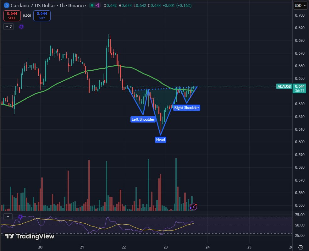 Sssebi🦁 tweet media