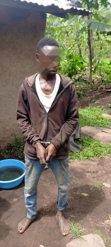 swiftpub's tweet image. The @PoliceUg  in the Rwenzori West Region, with the support of the K9 Unit, have arrested a suspect in connection with the theft of fresh coffee in Kisomoro, Bunyangabu District.  
"The incident began when Mr. Rugumayo Fred found a hole behind his coffee store and alerted the…
