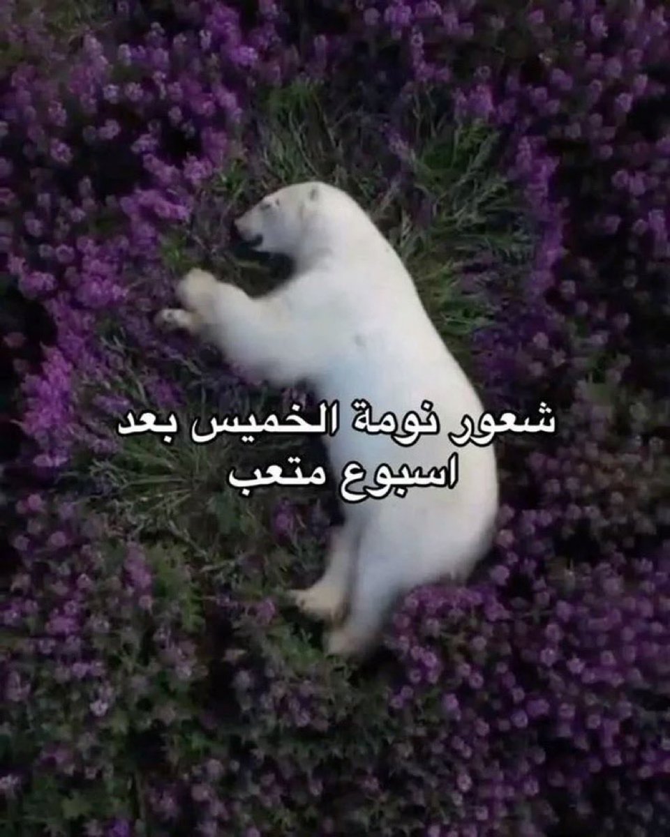 is over (@2vvvo) on Twitter photo 