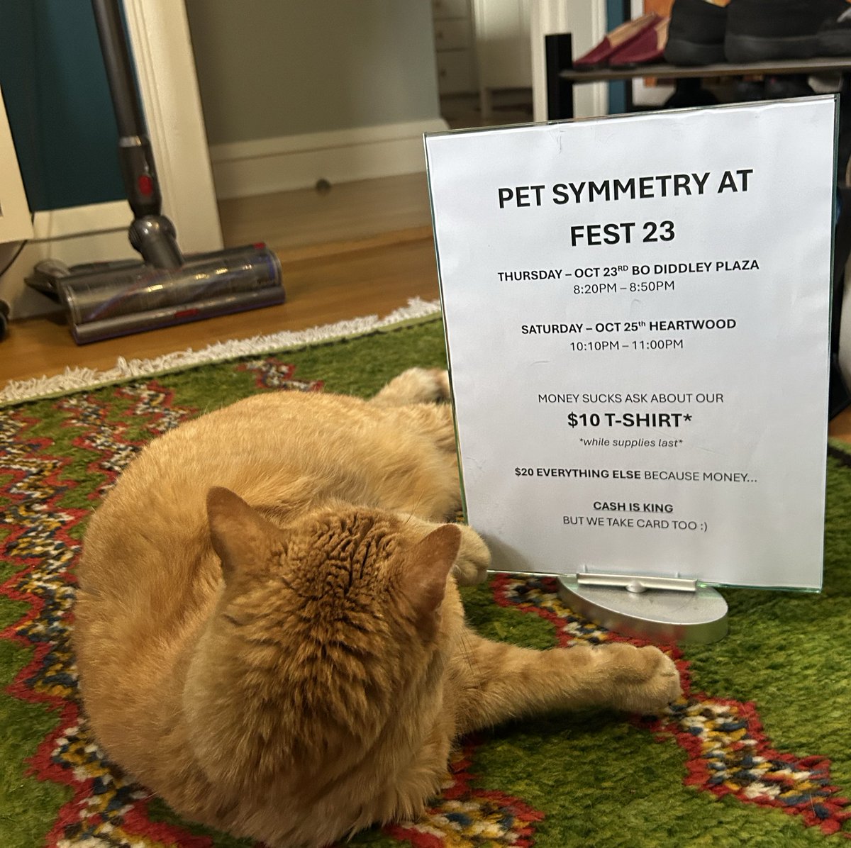 Pet Symmetry tweet media