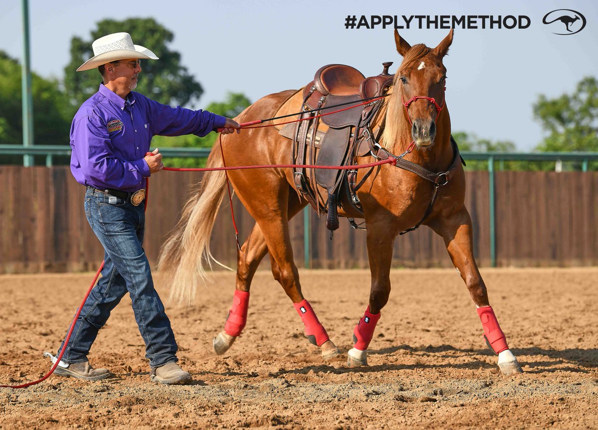 DownunderHorse's tweet image. Four trainers gave up on a &quot;dangerous&quot; horse. Wade Wickman didn’t. Using the Method, Wade earned the mare&apos;s respect and trust and was riding her with confidence in just weeks. Inspired by the results, Wade became a Method Ambassador. certifiedclinician.com/clinician/wade…
#ApplyTheMethod