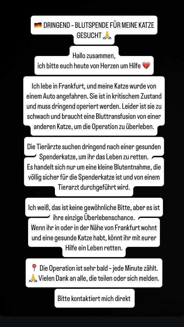 AdlerNews (@adlernews) on Twitter photo 🚨 Unser Spieler <a href="/mbatshuayi/">Michy Batshuayi</a> benötigt Hilfe für seine Katze, die von einem Auto angefahren wurde. #SGE 🦅
Wer bei Instagram ist, kann Michy #Batshuayi direkt anschreiben. ⤵️
🔗 instagram.com/mbatshuayi/ 🚨 Unser Spieler <a href="/mbatshuayi/">Michy Batshuayi</a> benötigt Hilfe für seine Katze, die von einem Auto angefahren wurde. #SGE 🦅
Wer bei Instagram ist, kann Michy #Batshuayi direkt anschreiben. ⤵️
🔗 instagram.com/mbatshuayi/