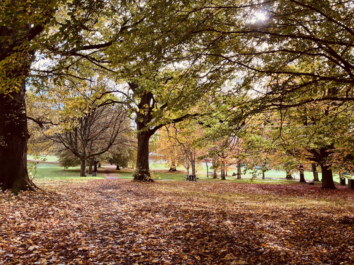 MarkBlezard tweet media