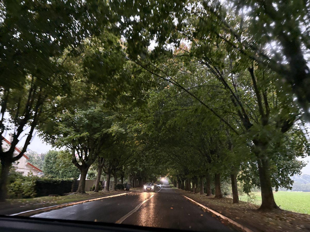 arctiquehare's tweet image. 