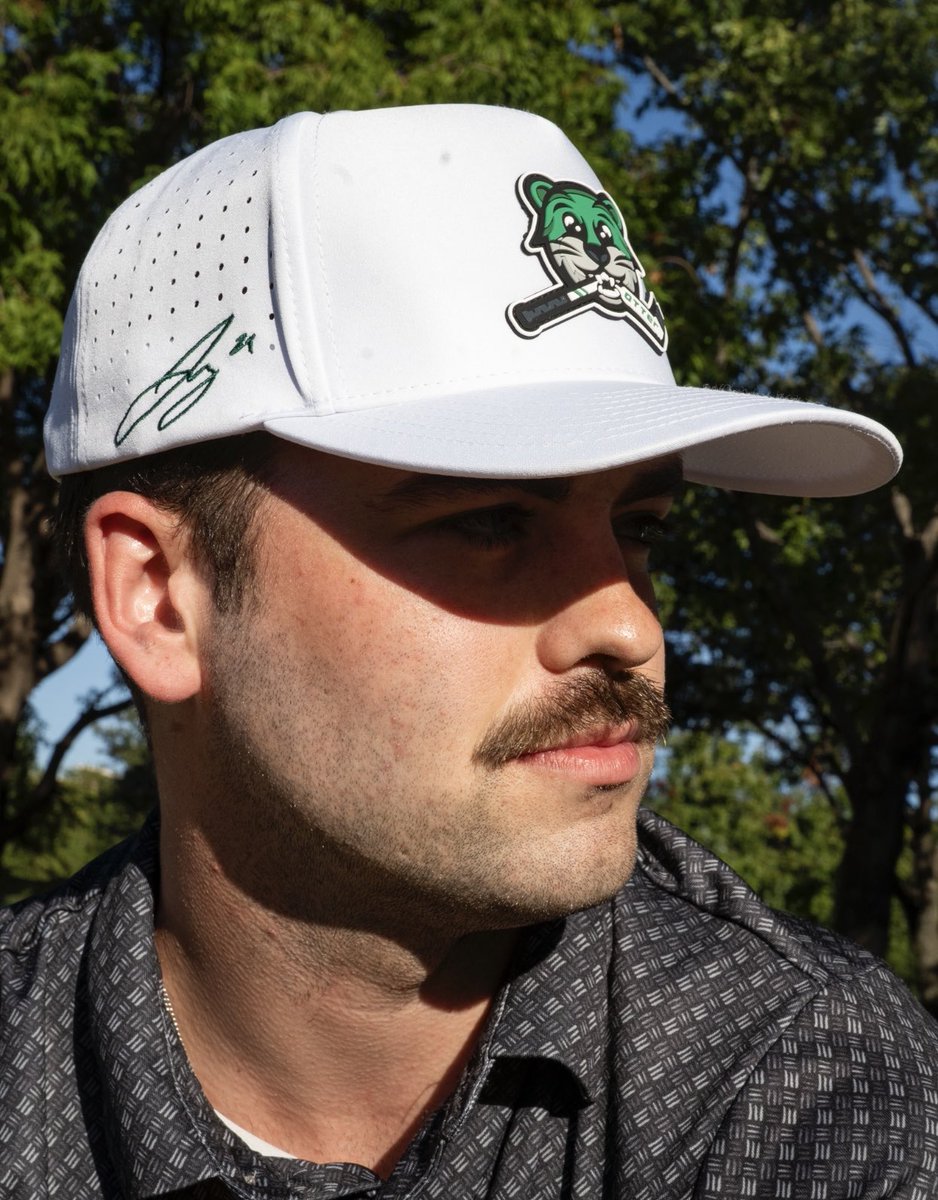 Stars Hangar tweet media