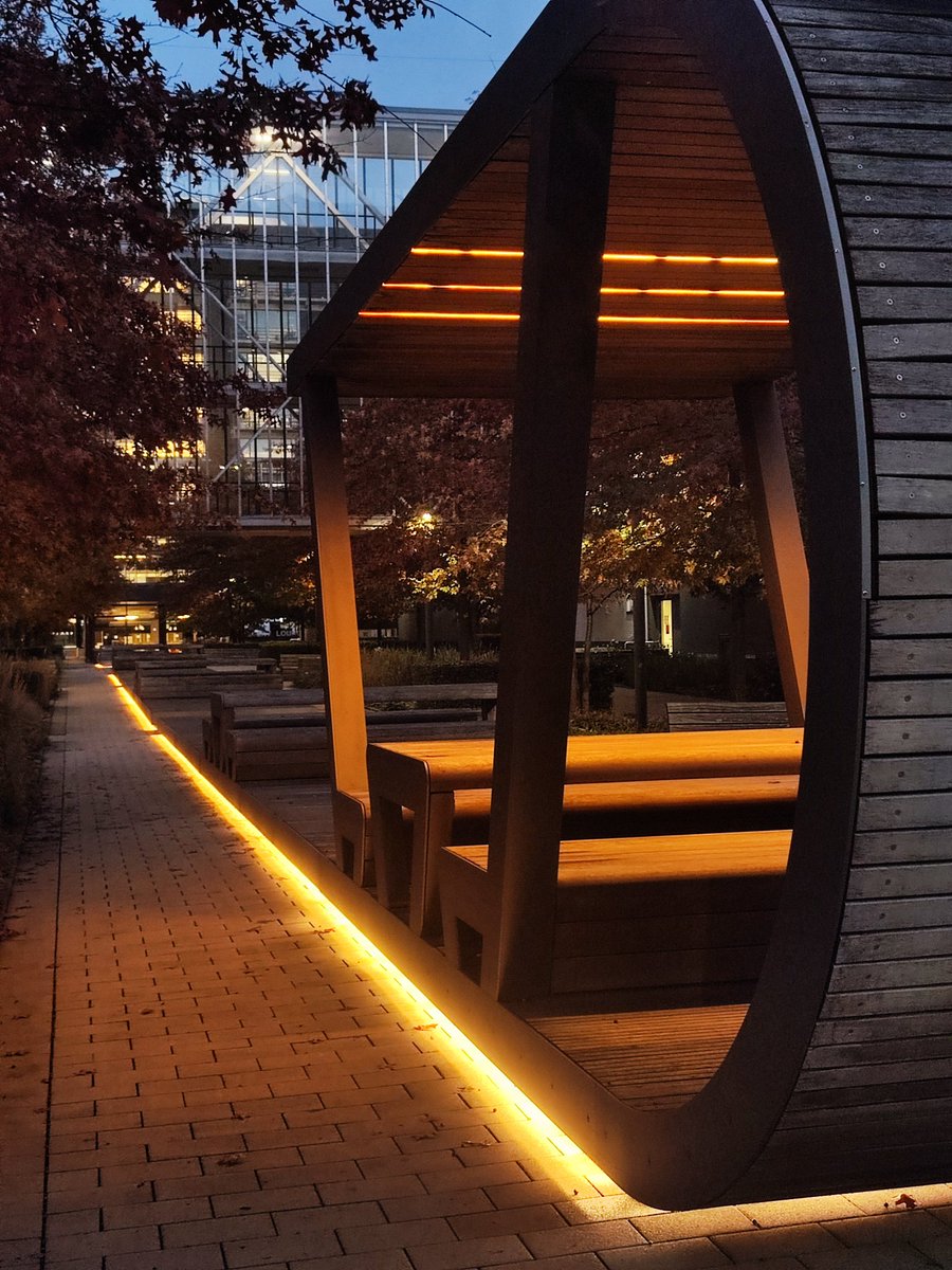 Mischa Rogov tweet media