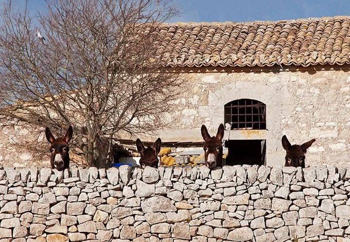 "Eppure io credo che se tutti facessimo un po' più di silenzio,forse qualcosa potremmo capire" 
Fellini,La voce della luna