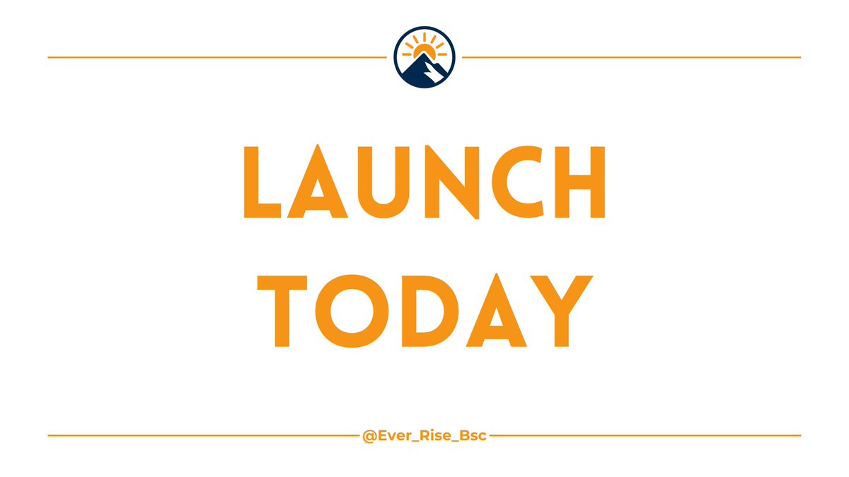 EverRise tweet media