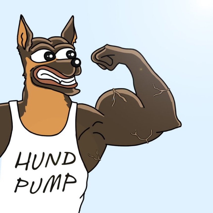 We are ready! 🐾🐶