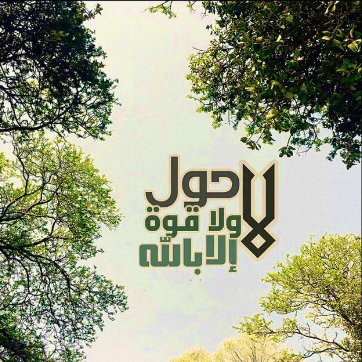 🩶💚

قال ابن الجوزي رَحمَه اللهُ :
ما أقلّ من يعمل للّه تعالى خالصاً؛
لان أكثر الناس
يُحبُون ظهور عباداتهم.

•••